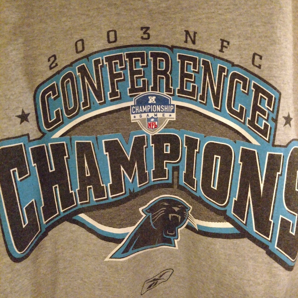 NFL Carolina Panthers t-shirt Adult Large